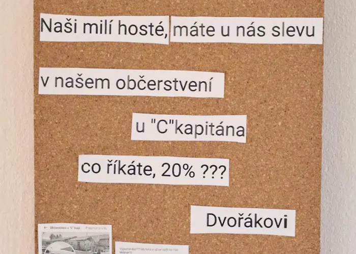 בית אירוח Ubytovani U Zameckeho Parku *